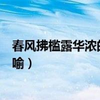 春风拂槛露华浓的意思是什么（春风拂槛露华浓的意思的比喻）