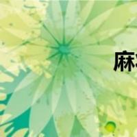 麻将机怎么调108张牌