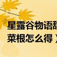 星露谷物语甜菜根什么时候种（星露谷物语甜菜根怎么得）