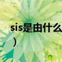 sis是由什么组合而成（sis是由什么组合而成）