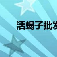 活蝎子批发哪里便宜（活蝎子怎么吃）