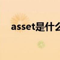 asset是什么意思啊（Asset是什么意思）