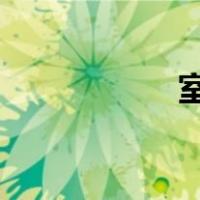 室内充场是什么兼职