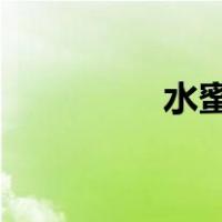 水蜜桃与黄桃有什么不同