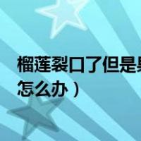 榴莲裂口了但是果肉还是硬的怎么办（榴莲已开裂但果肉硬怎么办）
