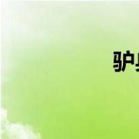 驴身上的金钱肉是哪里