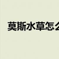莫斯水草怎么养长得快（莫斯水草怎么养）