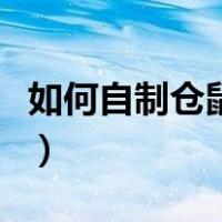 如何自制仓鼠冬天衣服（如何自制仓鼠饮水器）