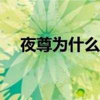 夜尊为什么叫面面（夜尊为什么叫面面）