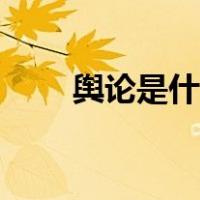 舆论是什么词性（舆论是什么意思）
