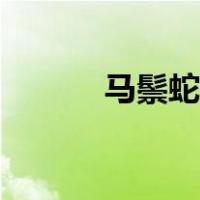 马鬃蛇怎样养（马鬃蛇的特点）