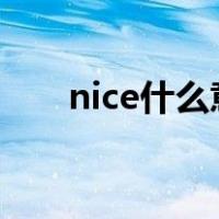 nice什么意思（nice兄dei是什么梗）