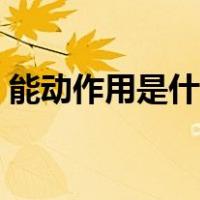 能动作用是什么意思（能动作用是什么意思）