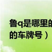 鲁q是哪里的车牌号码在哪个区（鲁q是哪里的车牌号）