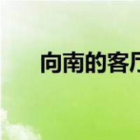 向南的客厅沙发怎么摆（向南的寓意）