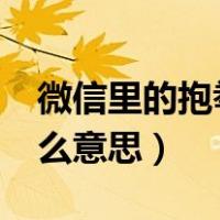 微信里的抱拳是什么意思?（微信中抱拳是什么意思）
