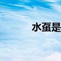 水虿是什么动物（水虿能吃吗）