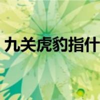 九关虎豹指什么动物（九关虎豹指什么生肖）