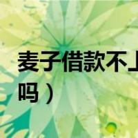 麦子借款不上征信放心（请问麦子借款上征信吗）