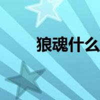 狼魂什么时候更新（狼魂什么意思）