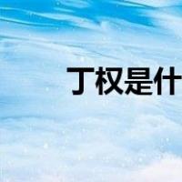 丁权是什么意思（丁权是什么意思）