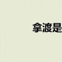 拿渡是什么（拿渡是什么意思）