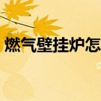 燃气壁挂炉怎样上水（燃气壁挂炉怎样加水）