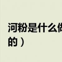 河粉是什么做的与米粉的区别（河粉是什么做的）