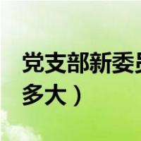 党支部新委员代表表态发言（d罩杯胸围一般多大）