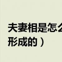 夫妻相是怎么形成的科学解释（夫妻相是怎么形成的）