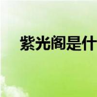 紫光阁是什么档次（紫光阁是什么单位）