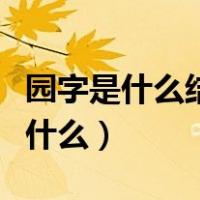 园字是什么结构部首（园字是什么结构部首是什么）