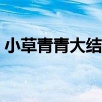 小草青青大结局是怎样的（小草青青大结局）
