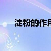 淀粉的作用是啥（淀粉的作用和用途）