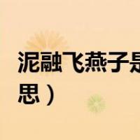 泥融飞燕子是什么意思（泥融飞燕子飞什么意思）