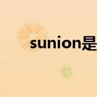 sunion是什么公司（sunion是什么）