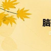 脑残粉的定义是什么？