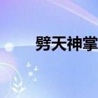 劈天神掌共几式（劈天神掌共几式）