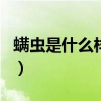 螨虫是什么样子的有多大（螨虫是什么样子的）
