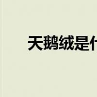 天鹅绒是什么牌子（天鹅绒是什么花）