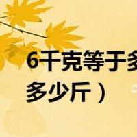6千克等于多少吨用分式怎么算（6千克等于多少斤）