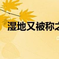 湿地又被称之为什么（湿地又被称作什么）