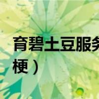 育碧土豆服务器什么梗（育碧土豆服务器什么梗）