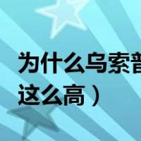 为什么乌索普赏金那么高（为什么乌索普赏金这么高）