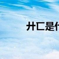 廾匸是什么字（廾匸是什么意思）