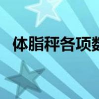 体脂秤各项数据怎么得到的（体脂秤原理）