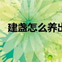 建盏怎么养出彩盏（建盏怎么养出七彩光）