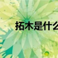 拓木是什么木（拓木是什么树 谁知道）