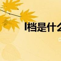 l档是什么意思呢（l档是什么意思）