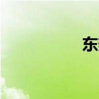 东热的主打歌是什么？